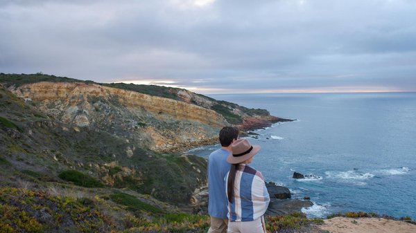 Où trouver les plus beaux sentiers pour observer les papillons monarques en migration au Mexique?