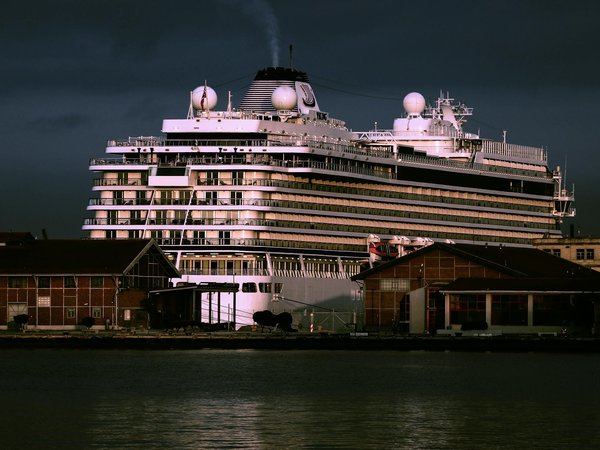 Comment trouver une location de vacances en Nouvelle-Zélande avec des cours de surf et de yoga?