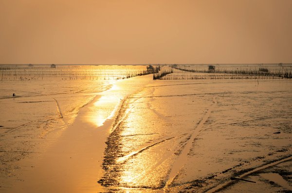 Où apprendre la danse traditionnelle en Grèce ?
