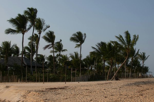 Quels sont les conseils pour une randonnée dans le parc national des Cinque Terre, Italie?