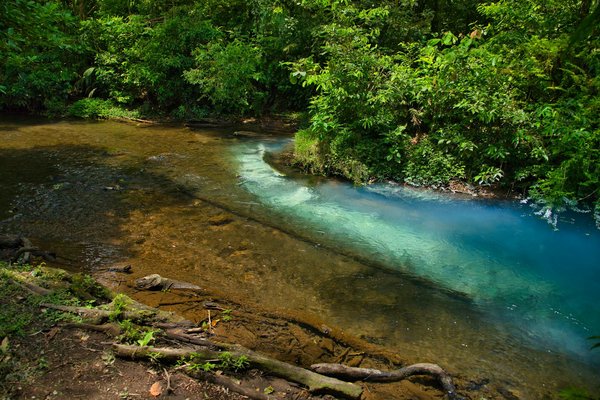 Comment explorer les forêts tropicales du Costa Rica en canopy ?